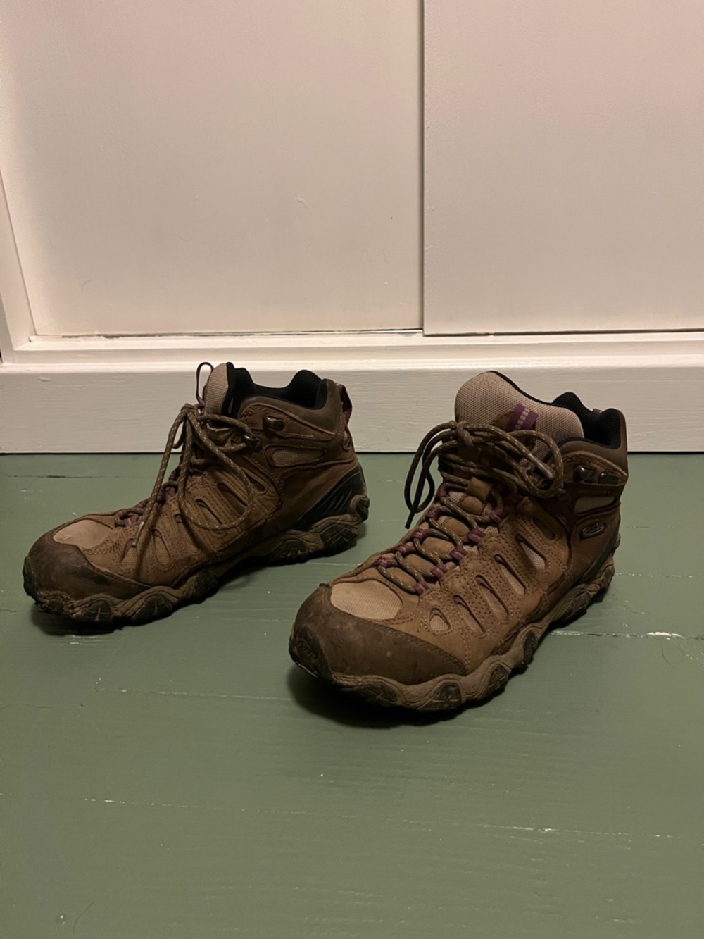 Brown Lace-Up Women's Hiking Boots